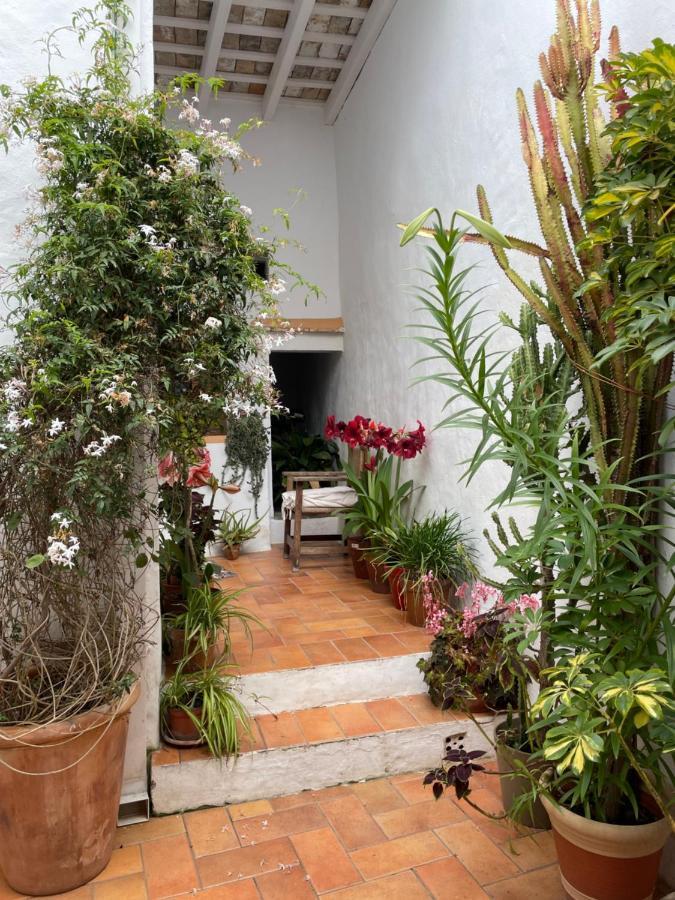Villa Casa Dulce à Vejer de la Frontera Extérieur photo